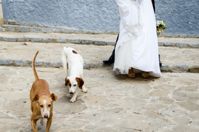 boda_cadiz_olvera-079