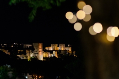 boda_parador_granada_chumbera-241